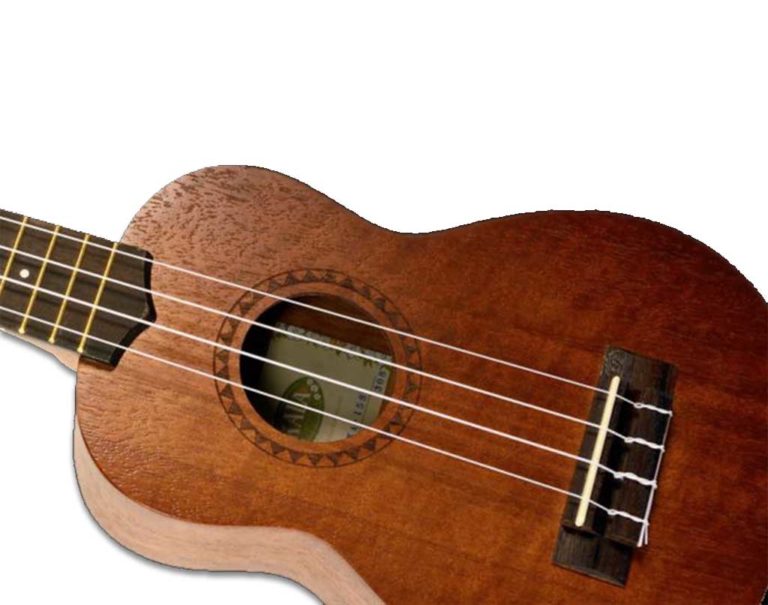 Kala Soprano Ukulele Music is Elementary