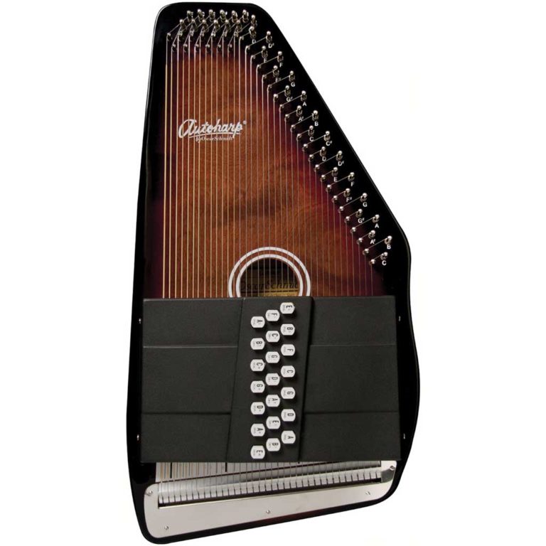 21 Chord Autoharp Music is Elementary