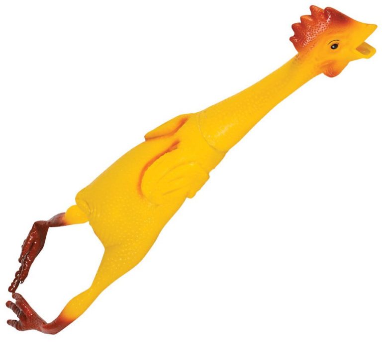 Rubber Chicken Music is Elementary