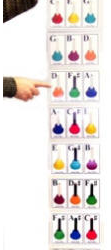 Card Holder for Color Coded Cards